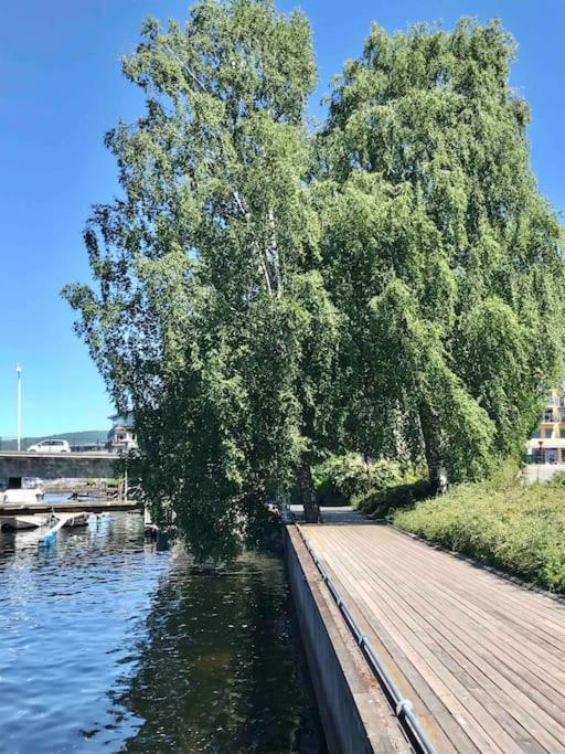 Stort Hus I Porsgrunn Sentrum Med Gangavstand Til "Alt" & Gratis Parkering Til Flere Biler Экстерьер фото