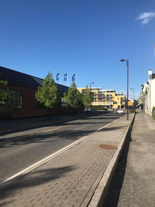 Stort Hus I Porsgrunn Sentrum Med Gangavstand Til "Alt" & Gratis Parkering Til Flere Biler Экстерьер фото
